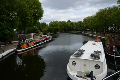 DSC_2736 (Large).JPG